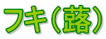 フキ（蕗） 